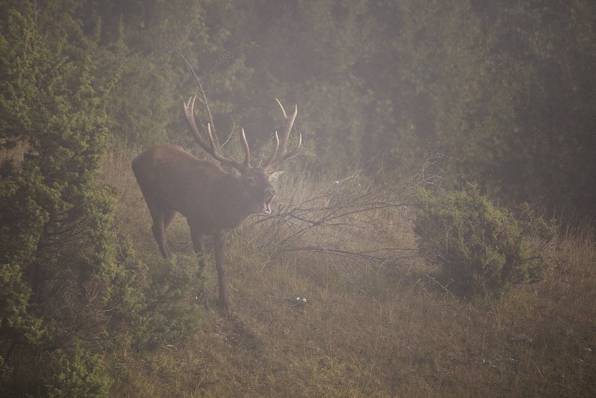 Sogno  (fotoracconto)